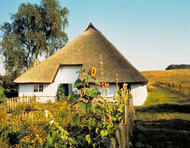 Typical Baltic coast thatched cottage