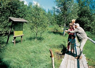 Hikers in the Rhn biosphere reserve