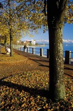 Friedrichshafen Lakeside promenade, copyright Tourist Information Friedrichshafen